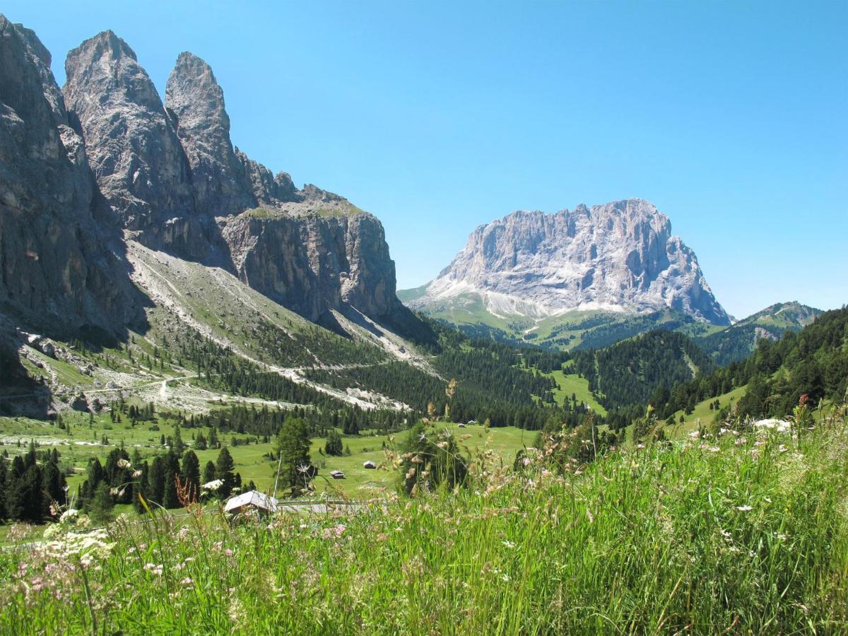 Apartment Cesa Soraruf By Interhome Campitello di Fassa Dış mekan fotoğraf